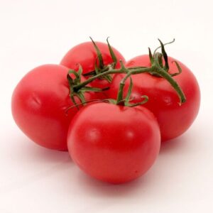 Fresh Tomatoes