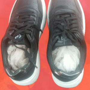 Canvas shoe