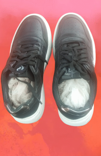 Canvas shoe