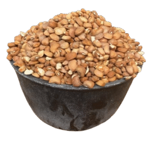 Brown Beans